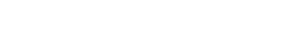 Dynamic Leadership Solutions